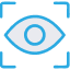 Computer Vision Engineer